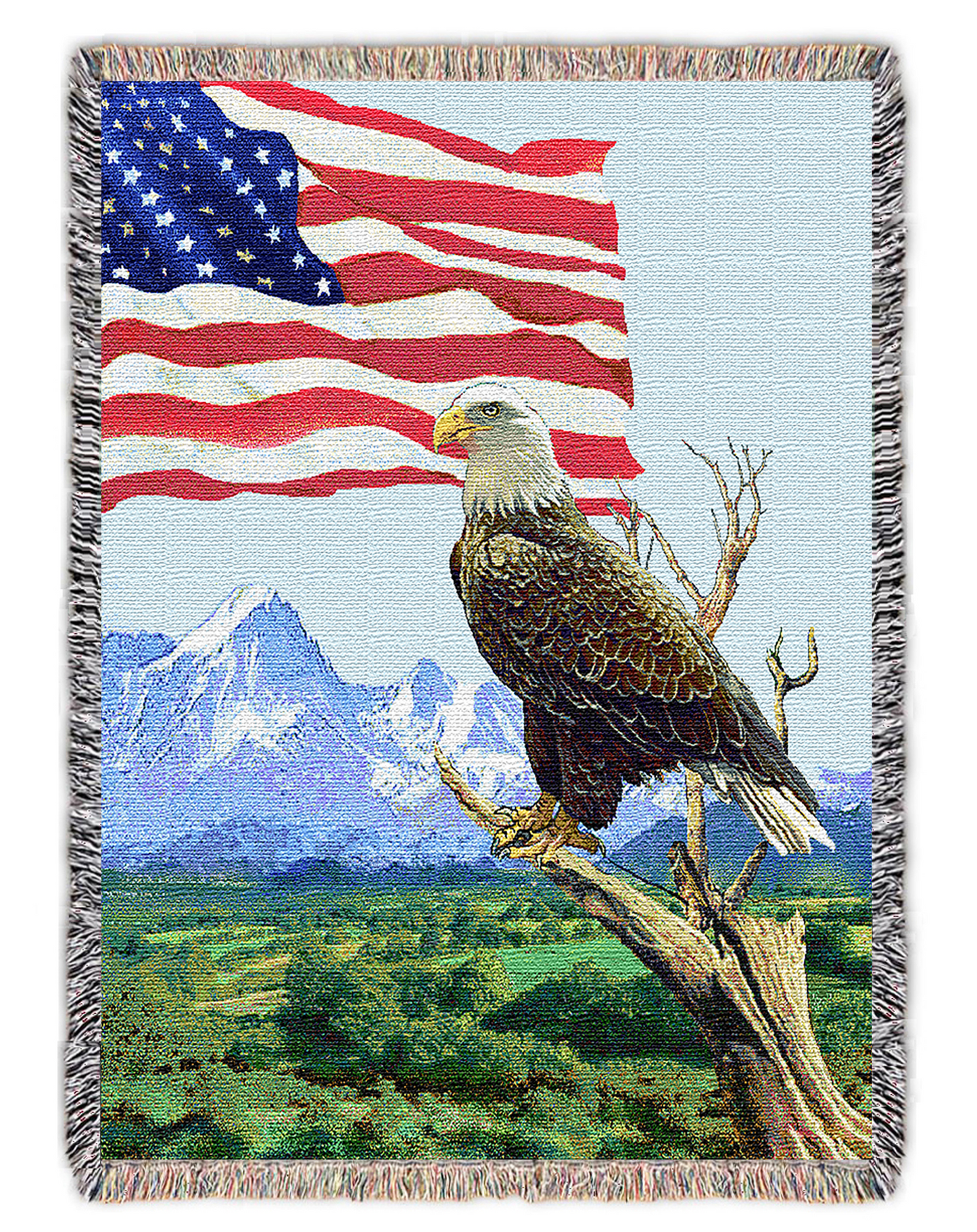 Eagle With Flag